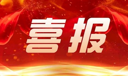 齐奋斗，喜获荣誉  共努力，再绘新图